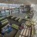 Anac limita comercialização de passagens da Flybondi no Brasil